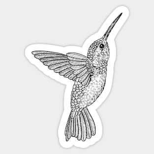 Hummingbird 2 Sticker